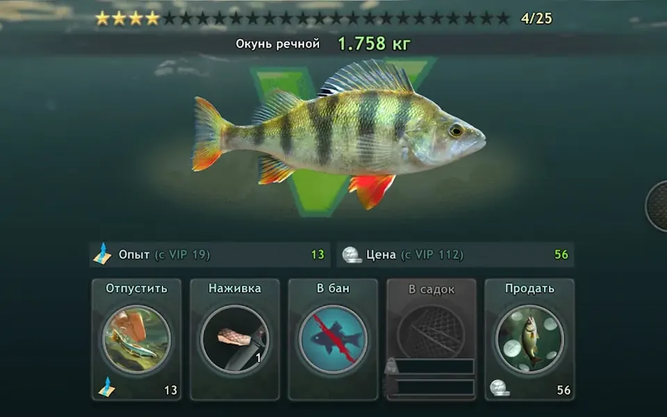 Gefangener Flussbarsch mit Gewichtsanzeige in World of Fishers